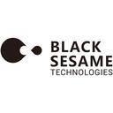 Black Sesame Technologies, Inc.