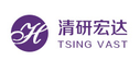 Tsing Vast
