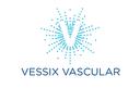 Vessix Vascular, Inc.
