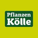 Pflanzen Kölle Gartencenter GmbH & Co. KG