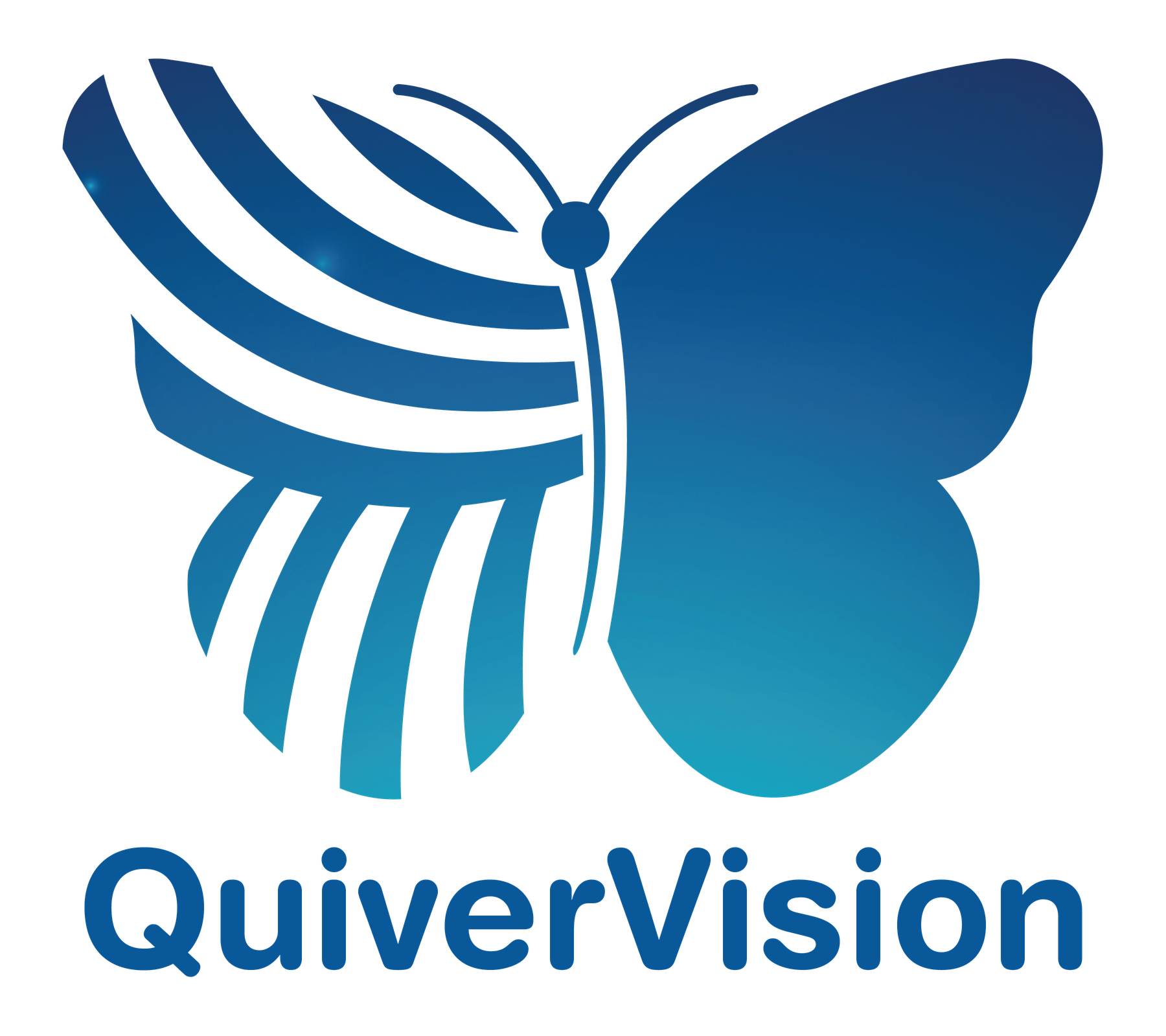 QuiverVision