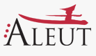 Aleut Management Svcs