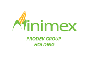 ProDev Group Holding