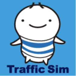 Traffic Sim Co. Ltd.