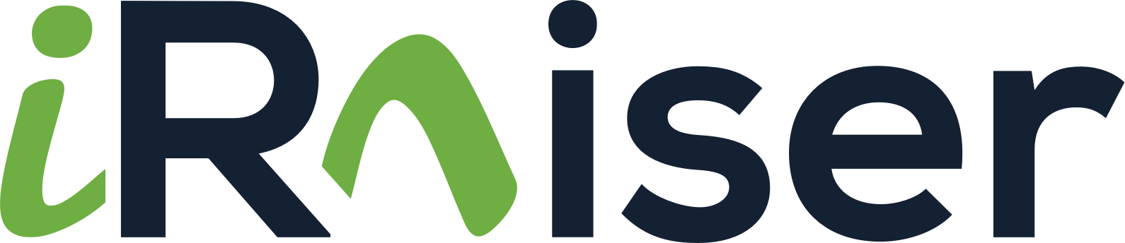 iRaiser Group