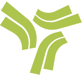 Transjordano