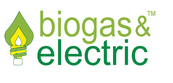 Biogas & Electric LLC
