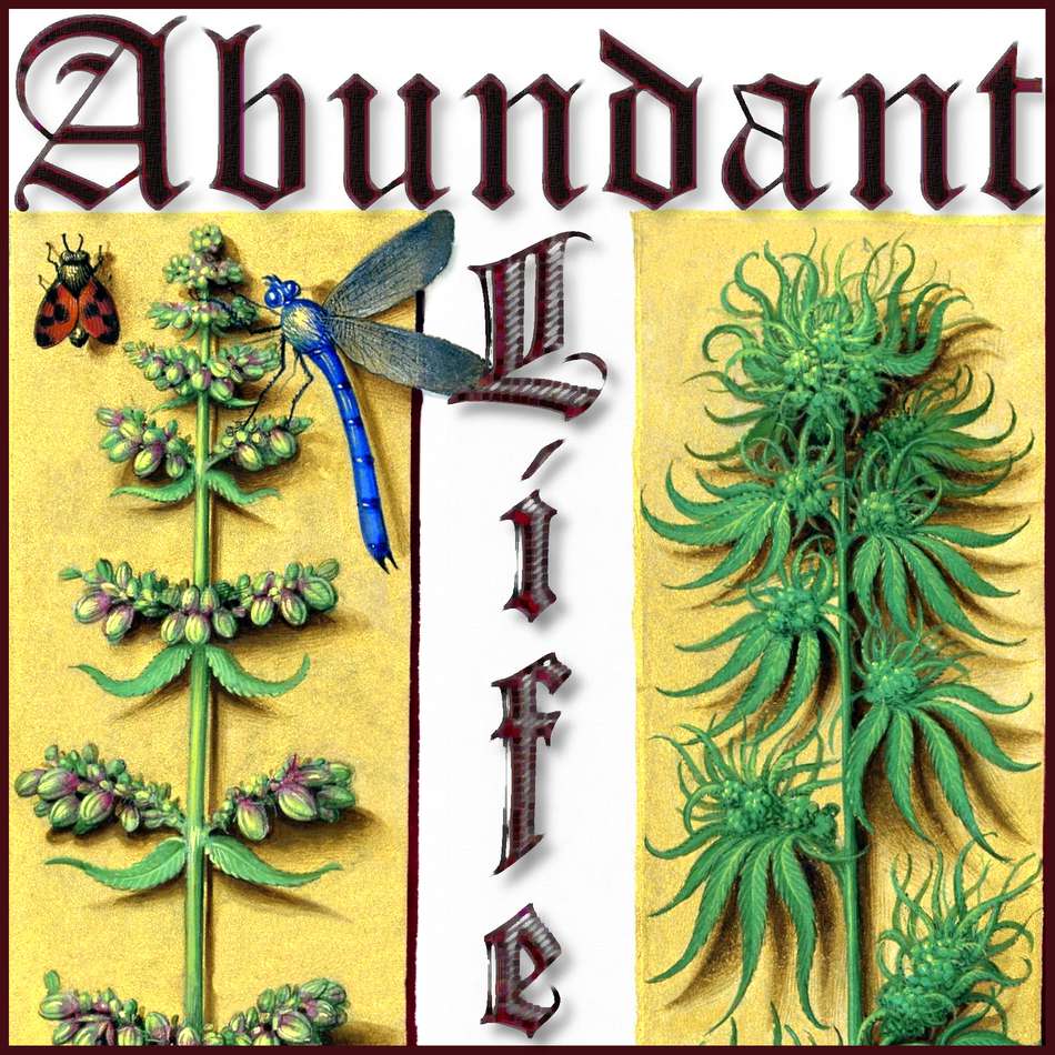 Abundant Life Seeds