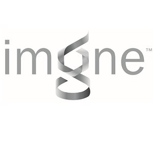 Imagine Intelligent Materials Ltd.