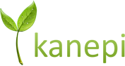 kanepi Group
