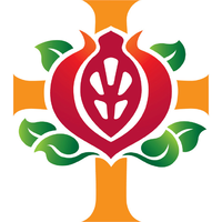 St John of God Health