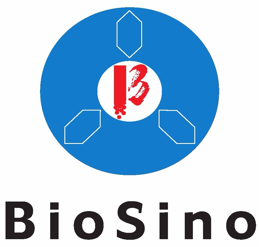 Biosino Bio-Technology