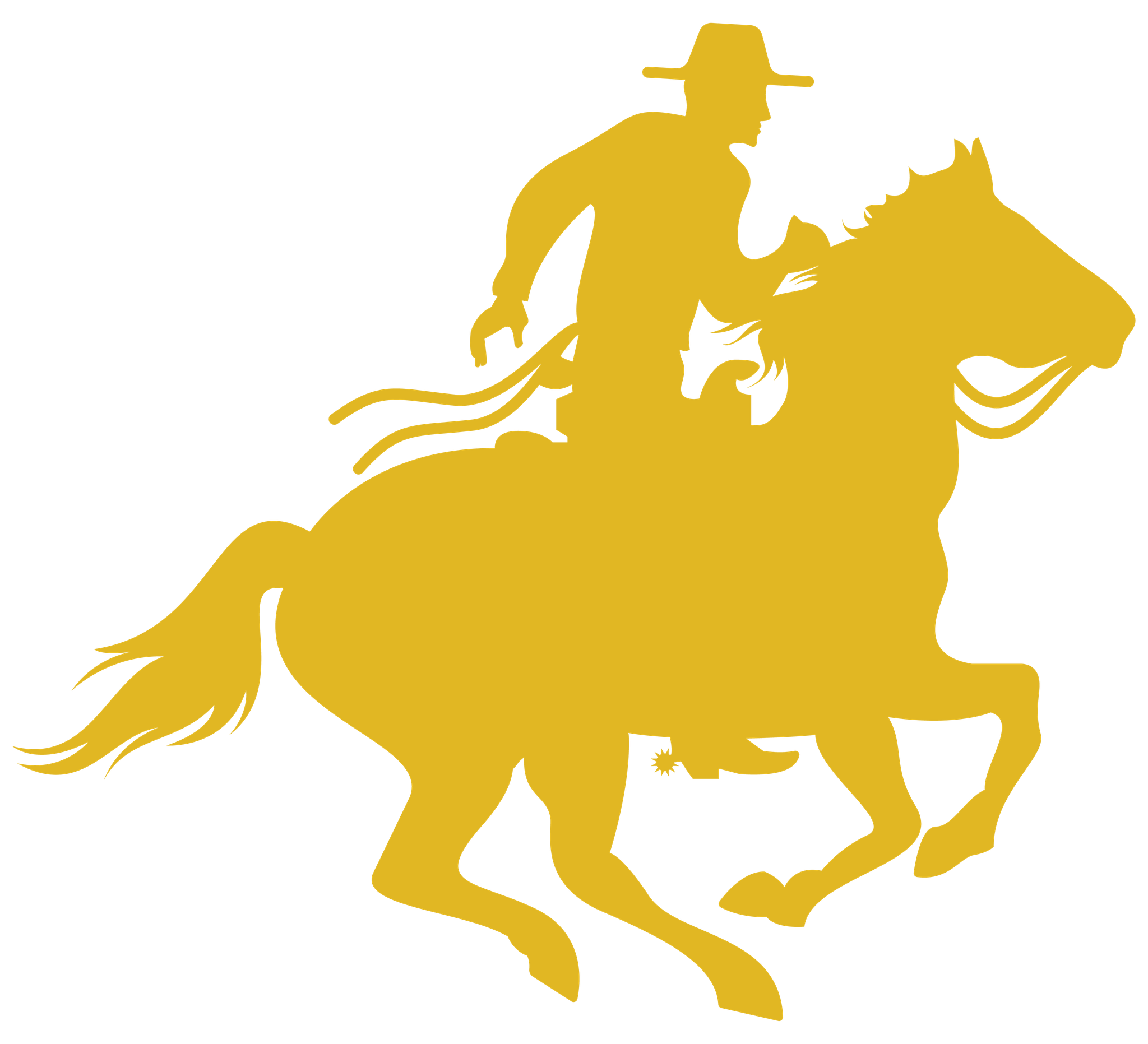 Access Venture Partners