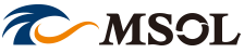 Management Solutions Co