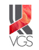 Vascular Graft Solutions Ltd.