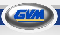 GVM Inc