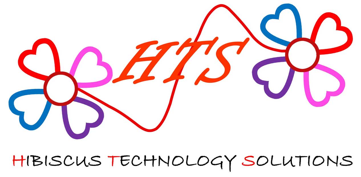 Hibiscus Technology Solutions