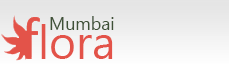 Mumbai Flora