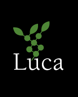 Luca Technologies, Inc.