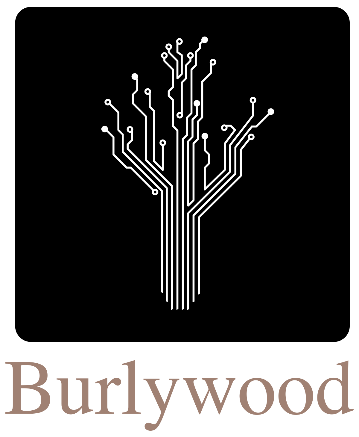 Burlywood, Inc.