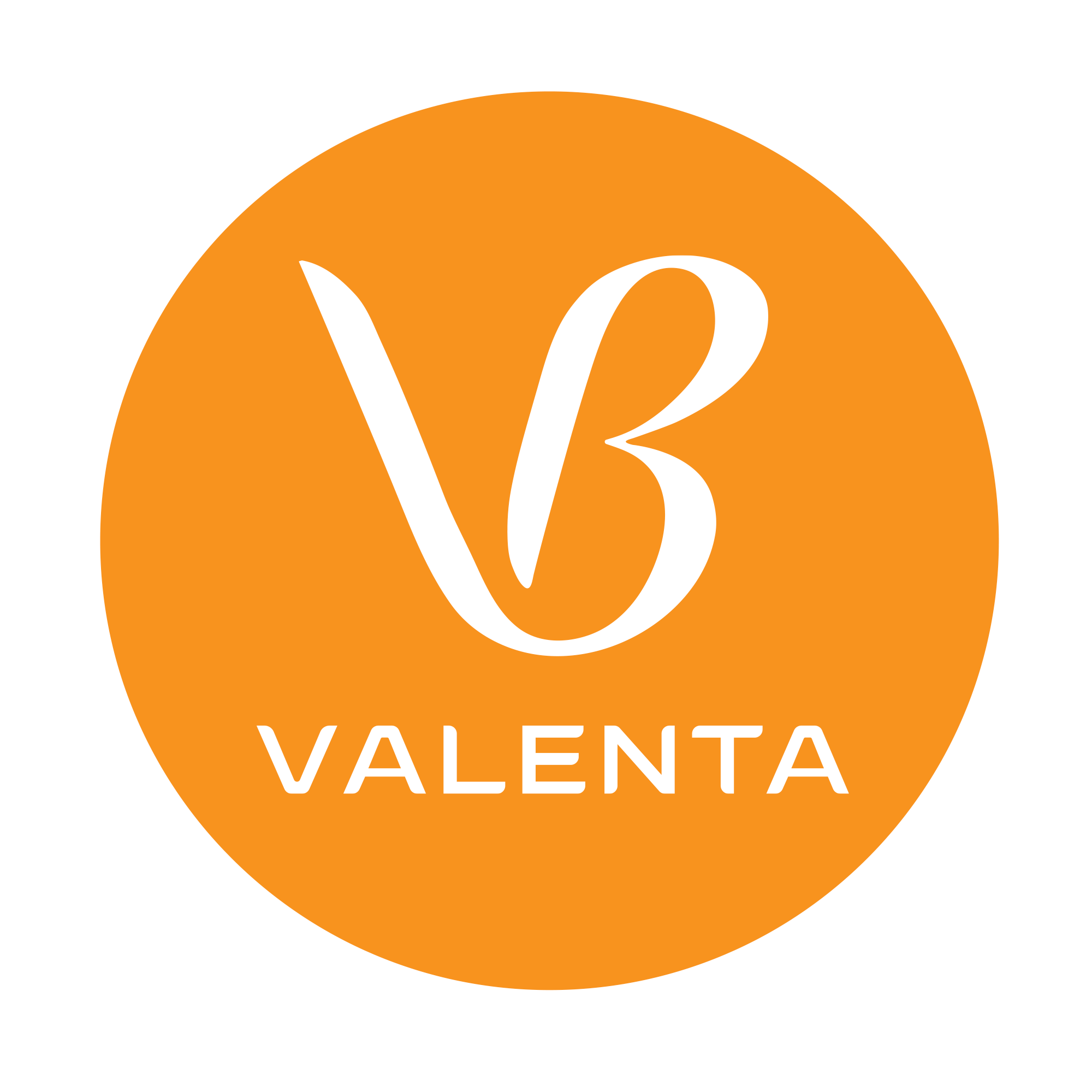 Valenta Pharmaceuticals JSC