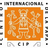 International Potato