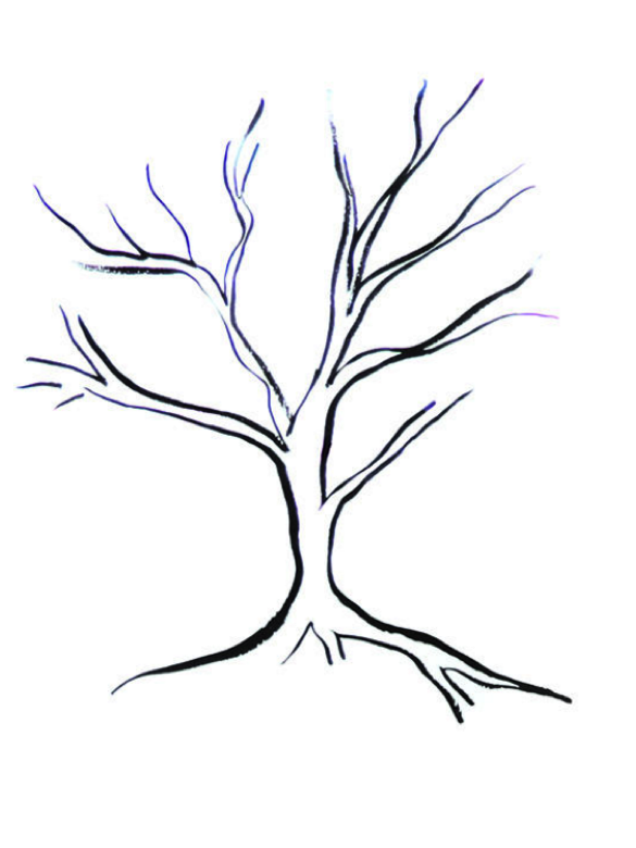Random Forest Capital