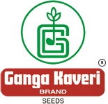 Ganga Kaveri Seeds