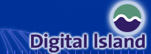 Digital Island, Inc.