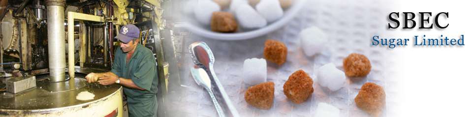 SBEC Sugar