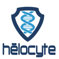 Helocyte