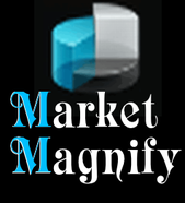 MarketMagnify Investment Adviser and Research