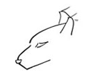 Lynx Sportswear
