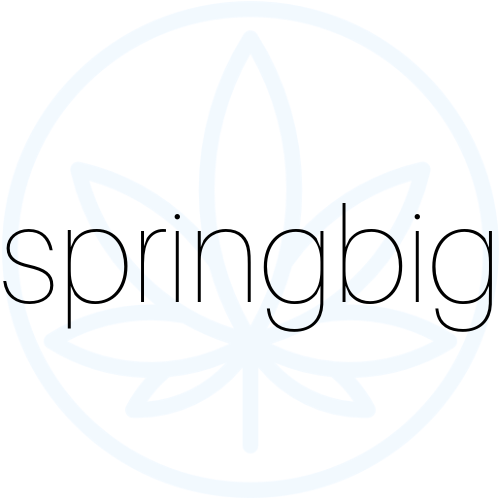 SpringBIG