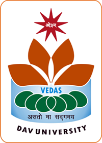 DAV University
