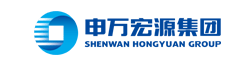 Shenwan Hongyuan Group