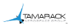 Tamarack Aerospace Group, Inc.
