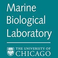 The Marine Biological Laboratory