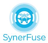 Synerfuse, Inc.