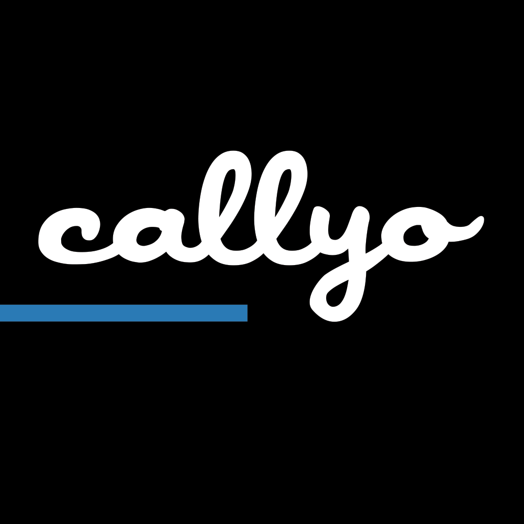 Callyo 2009 Corp.