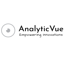 AnalyticVue