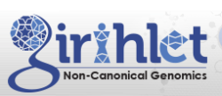 Girihlet