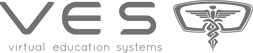 Virtual Education Systems