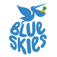 Blue Skies Holdings
