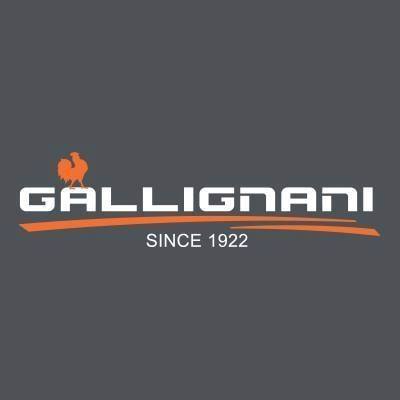 Gallignani Spa