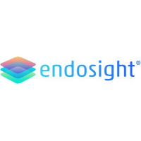 Endosight