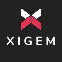 Xigem Technologies