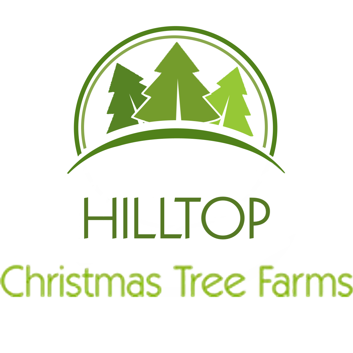 Hilltop Christmas Tree