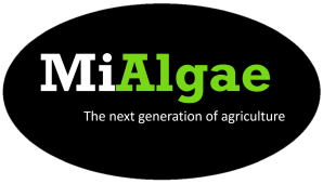 MiAlgae