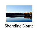 Shoreline Biome LLC